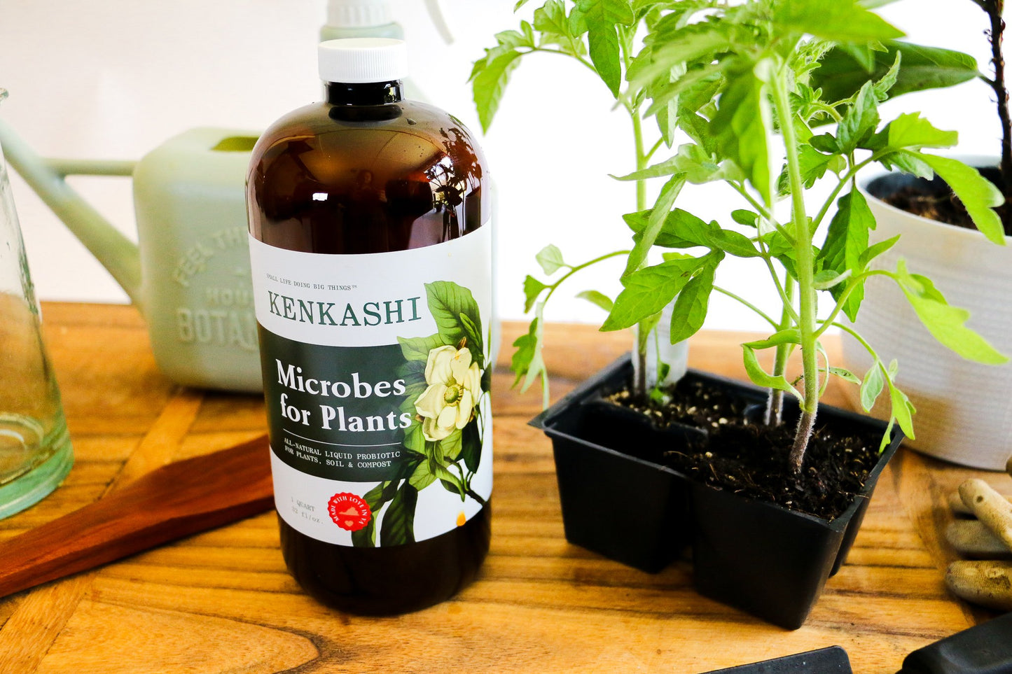Microbes for Plants