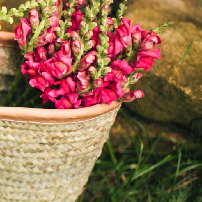 Market Baskets & Totes