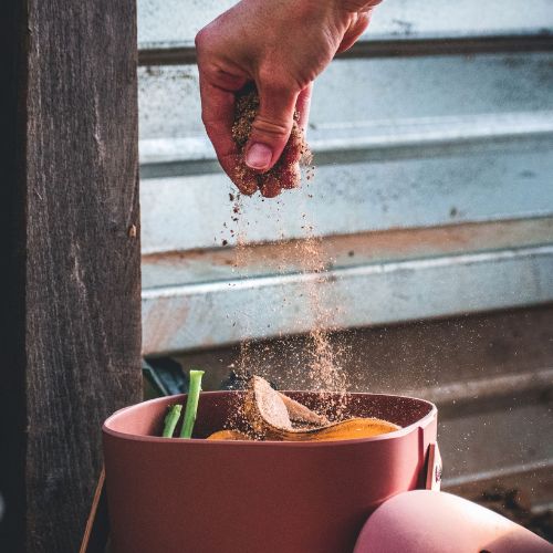 Compost Microbes