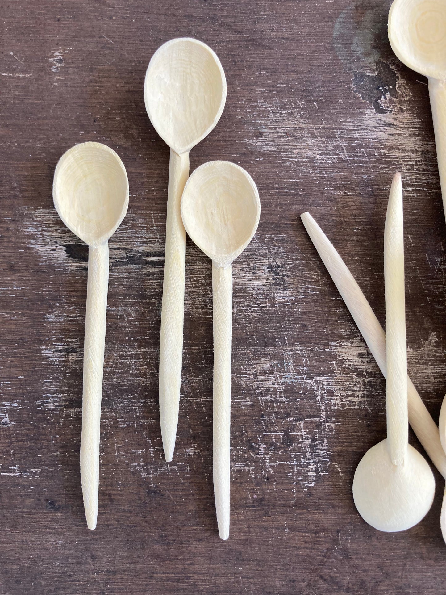 Coffee Spoon, Lemon Wood