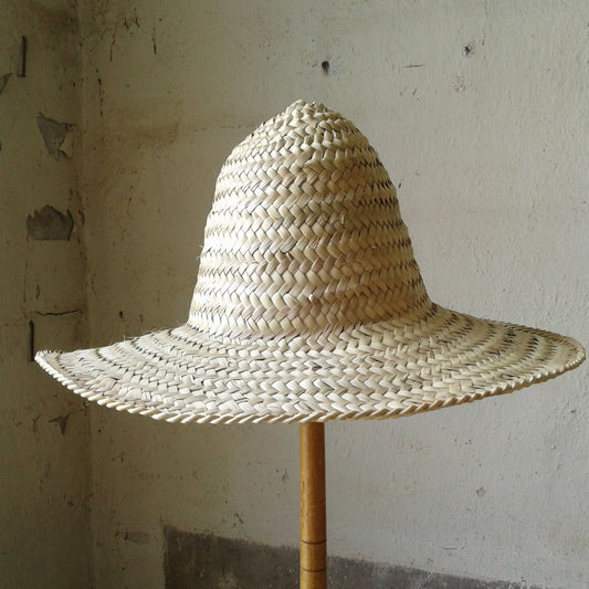 Palm Hat